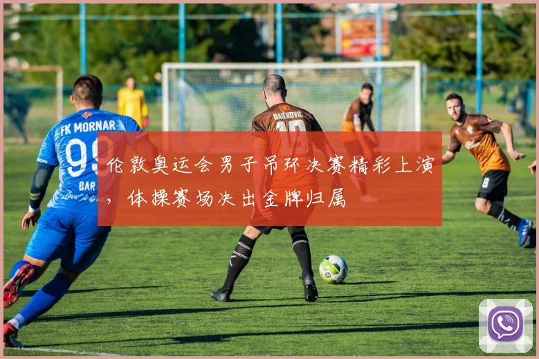 伦敦奥运会男子吊环决赛精彩上演，体操赛场决出金牌归属
