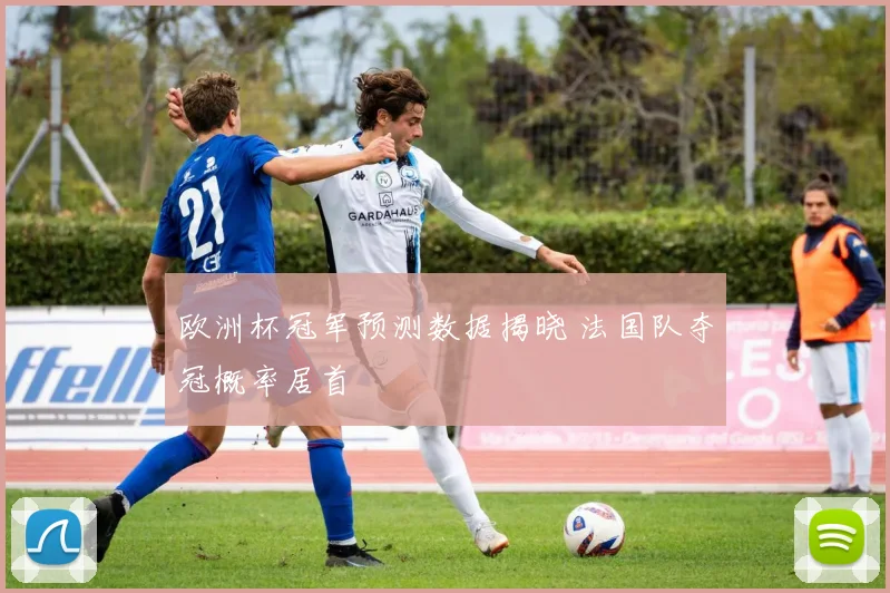 欧洲杯冠军预测数据揭晓 法国队夺冠概率居首