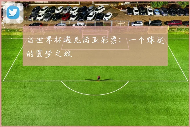 当世界杯遇见诺亚彩票：一个球迷的圆梦之旅