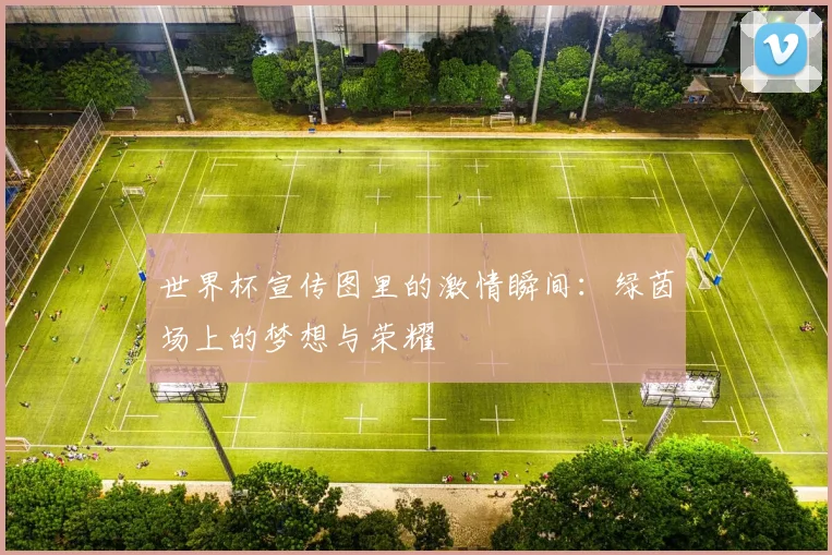 世界杯宣传图里的激情瞬间：绿茵场上的梦想与荣耀