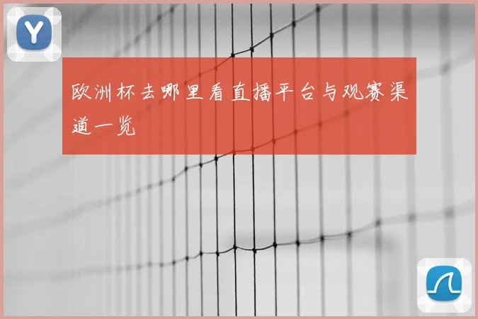 欧洲杯去哪里看直播平台与观赛渠道一览