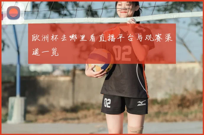欧洲杯去哪里看直播平台与观赛渠道一览